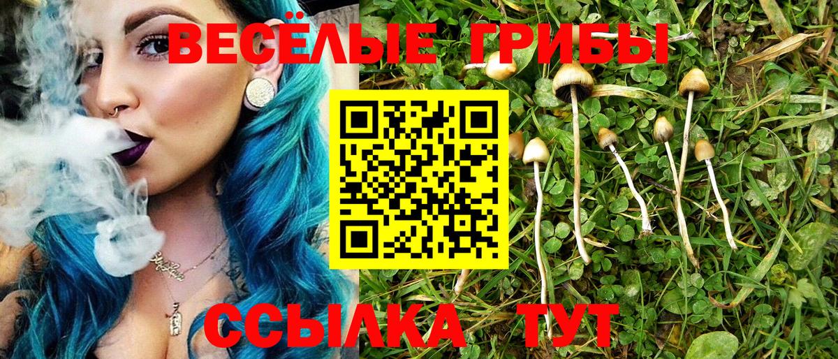 Псилоцибиновые грибы Psilocybine cubensis Острогожск