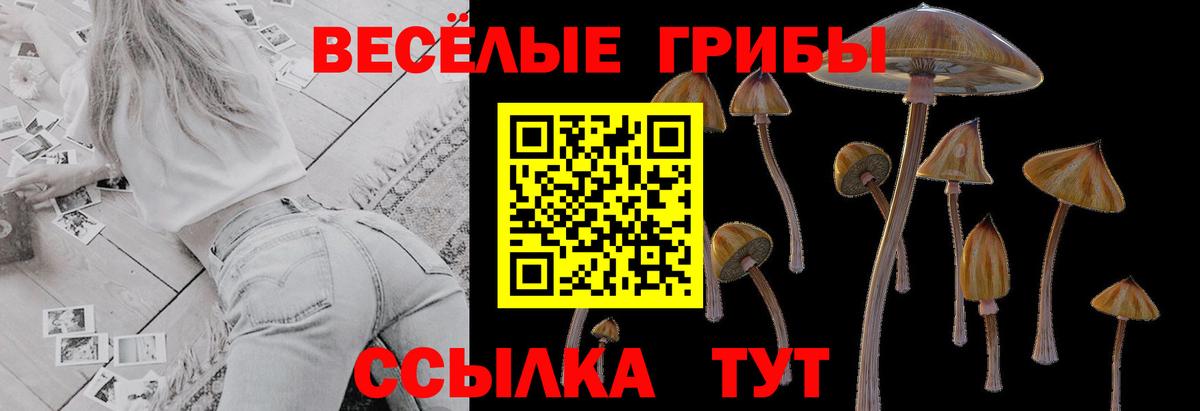 Галлюциногенные грибы Psilocybe  Вход с VPN  Псилоцибиновые грибы GOLDEN TEACHER  Острогожск 